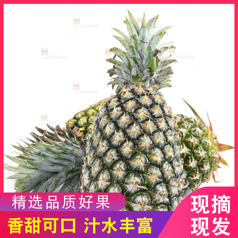 白底上的新鲜凤梨