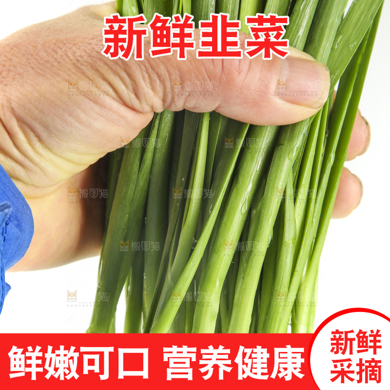 白底上的一把韭菜