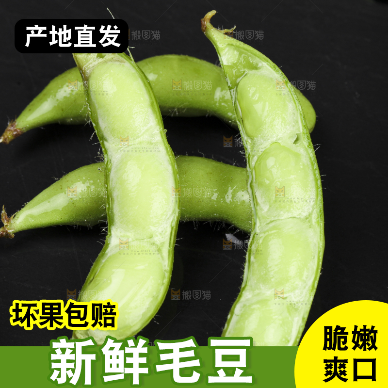 深底上放着新鲜毛豆