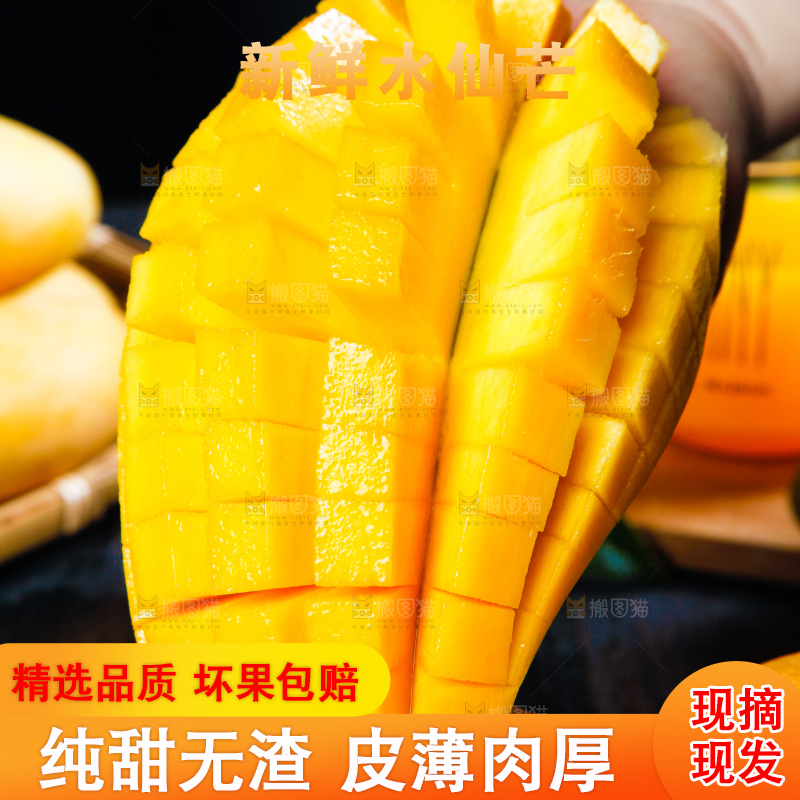 黑底上的水仙芒