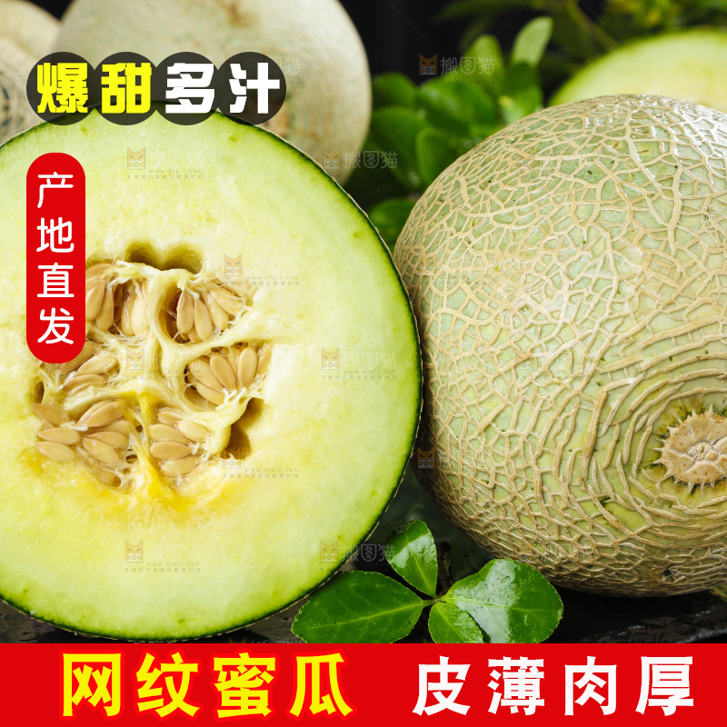 深底上放着切开的新鲜的网纹蜜瓜