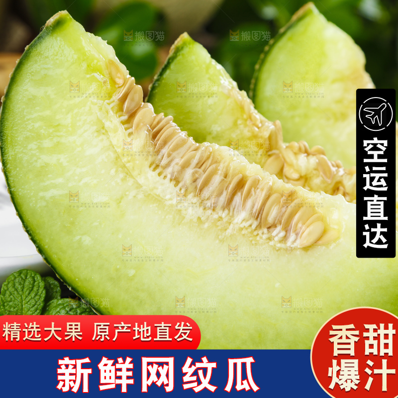 深底上放着切开的山东网纹蜜瓜