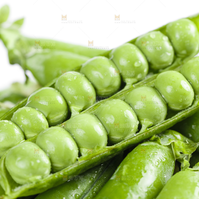 白底上的豌豆荚