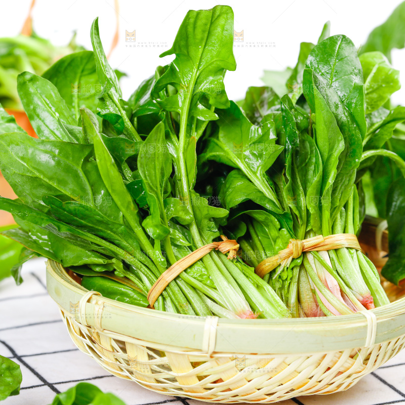 格子底上放着一堆绿色菠菜