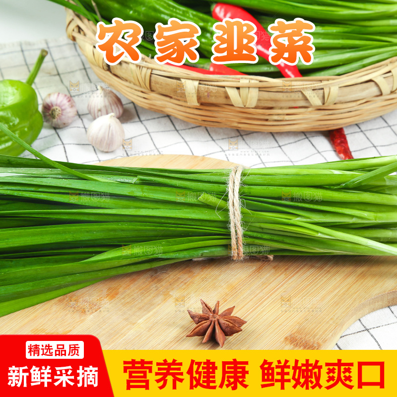 格子底上的鲜嫩韭菜