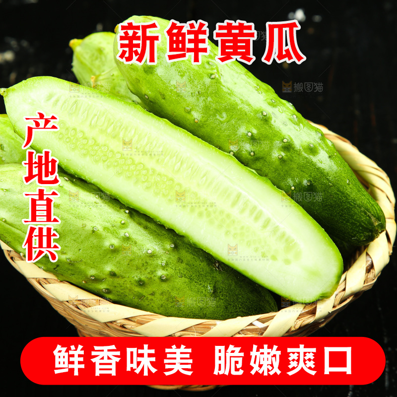 篮子里的土黄瓜