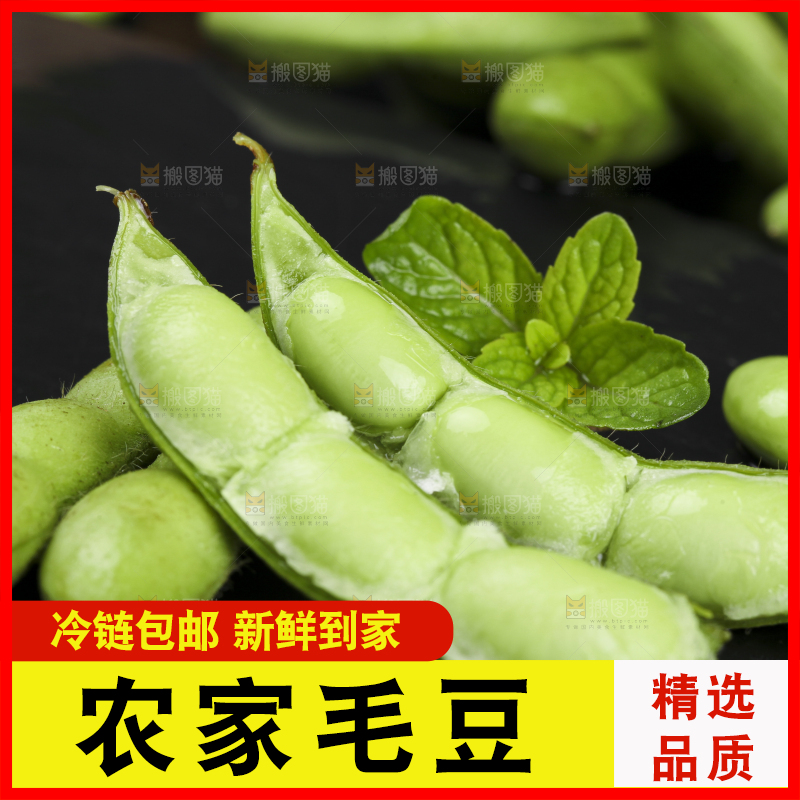 深底上放着新鲜毛豆
