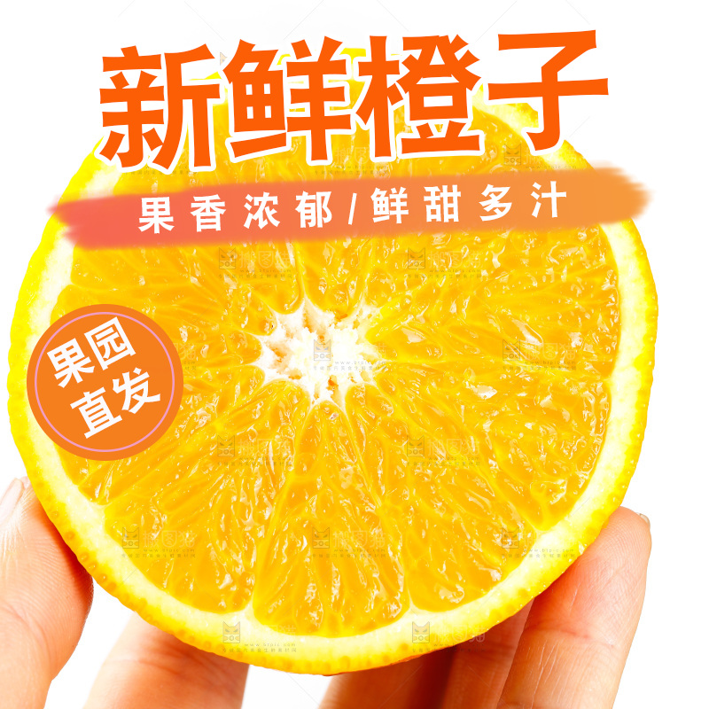 白底上放着新鲜橙子