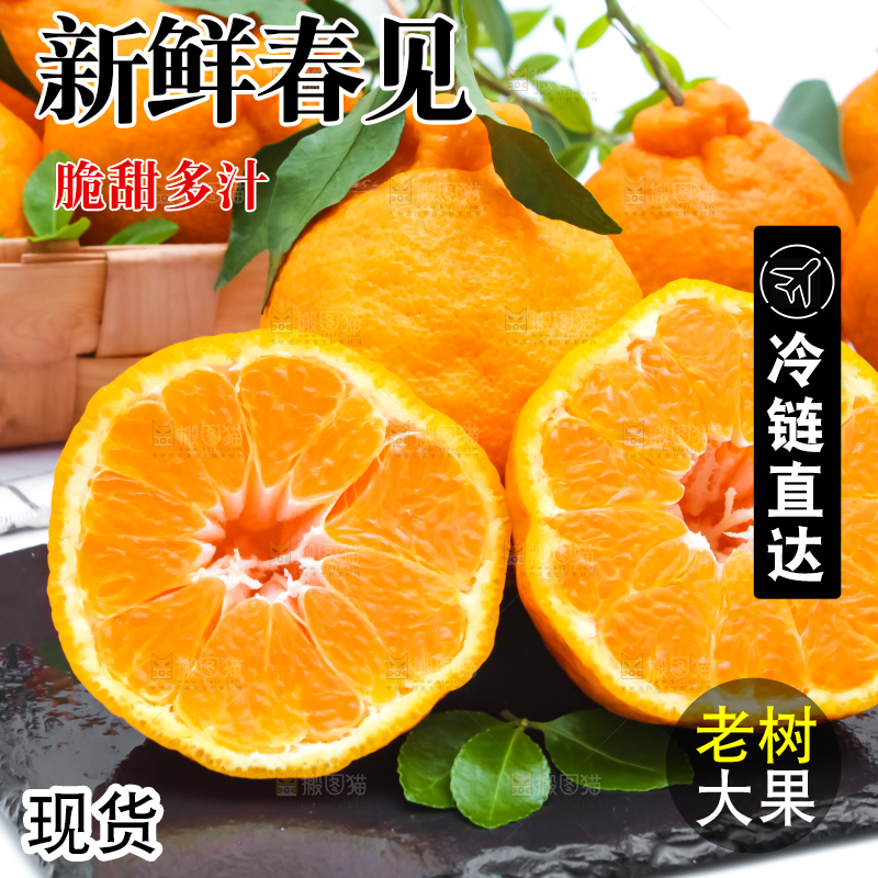 黑石板上放着切开的四川春见柑桔
