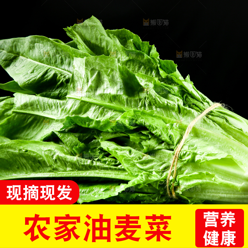 黑底上的油麦菜