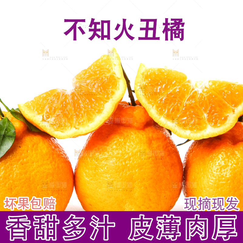 白底上放着新鲜的丑八怪