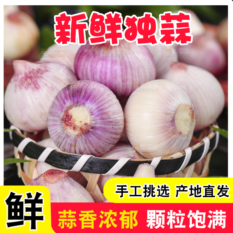 黑底上放着云南紫皮独头蒜