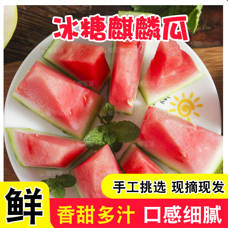 新鲜冰糖西瓜放在木底上