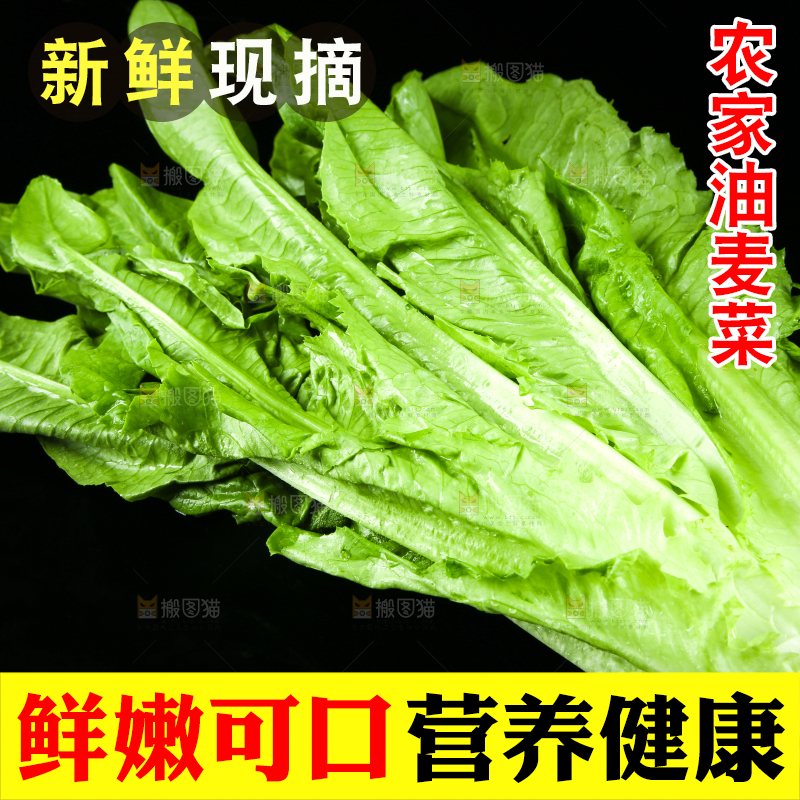 黑底上摆放着油麦菜