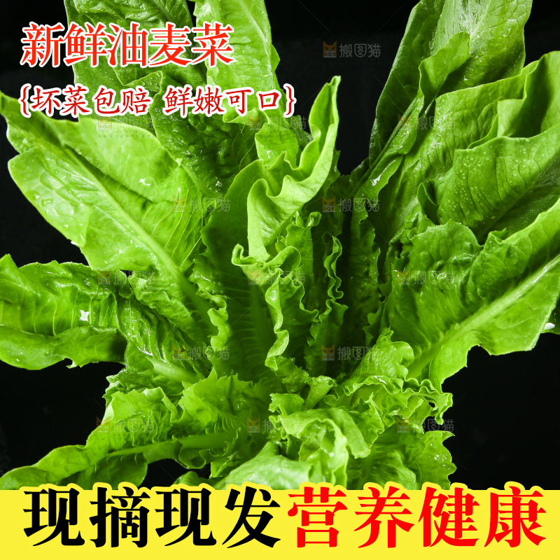 黑底上摆放着油麦菜