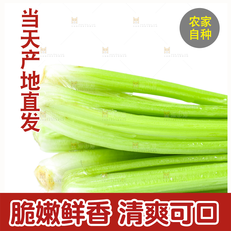 白底上放着新鲜芹菜