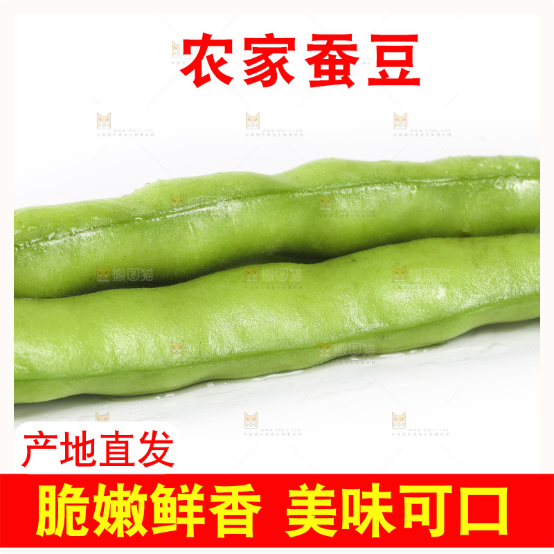 白底上放着新鲜蚕豆