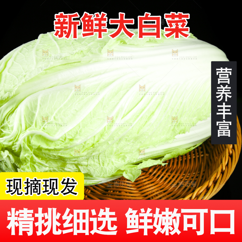 黑底上的黄心大白菜