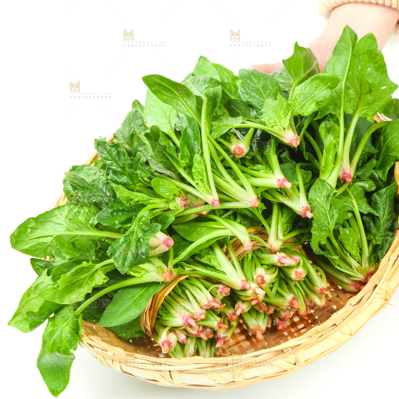 手里拿着一篮菠菜