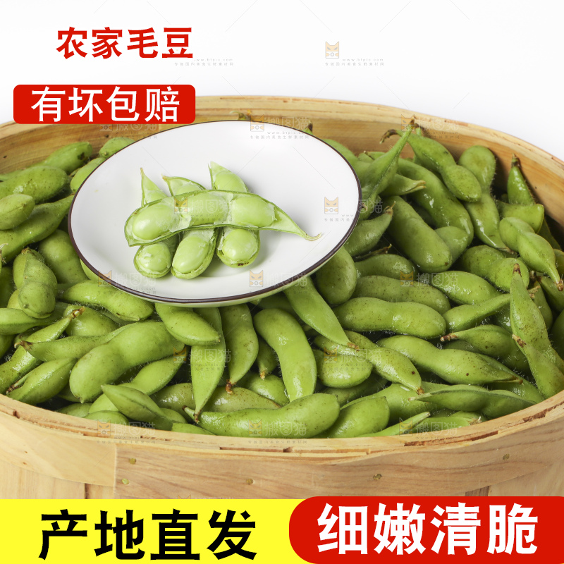 白底上放着一筐新鲜毛豆