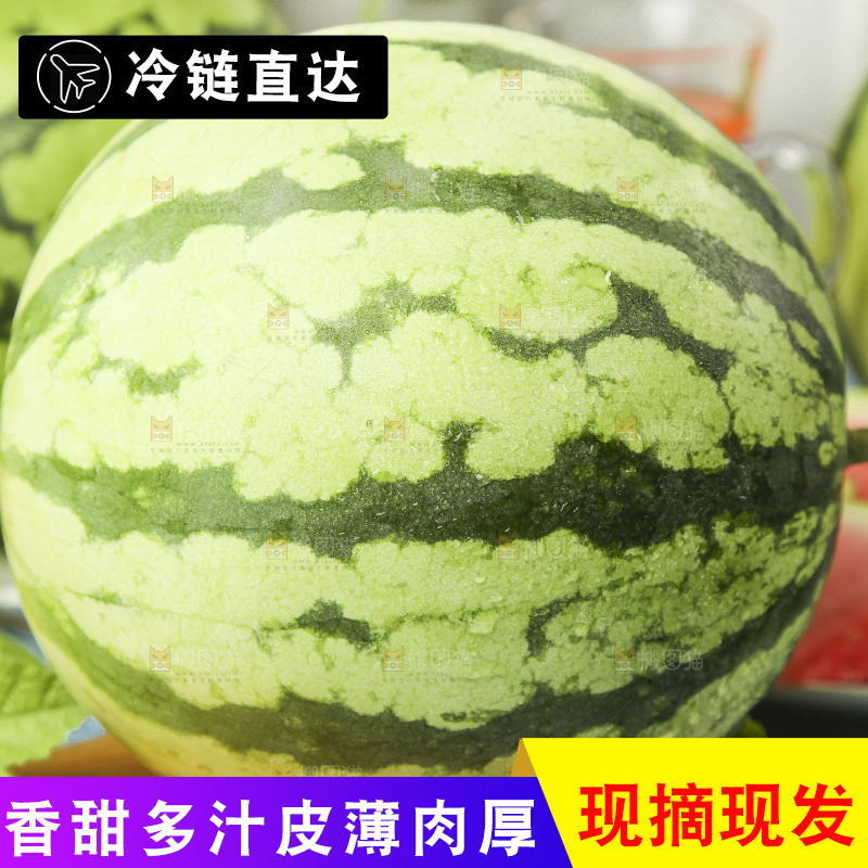 蓝底上放着新鲜麒麟西瓜