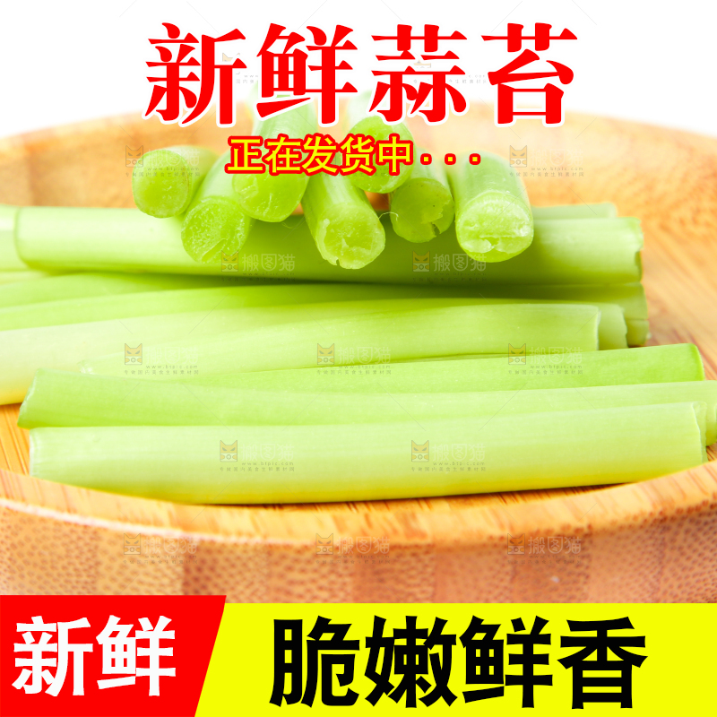一盘切开的山东蒜苔放在白底上