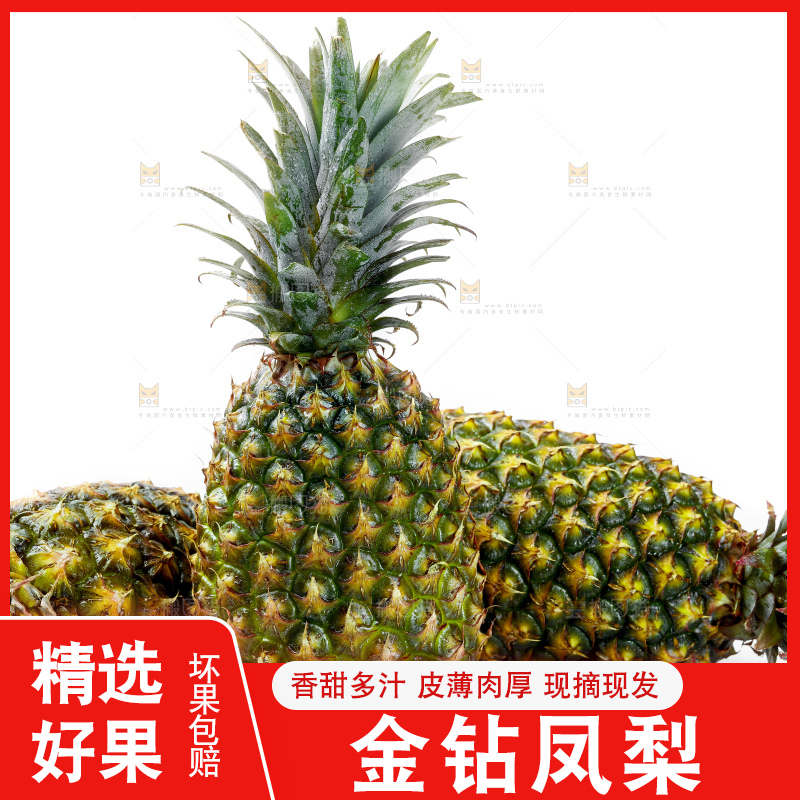 白底上的新鲜凤梨