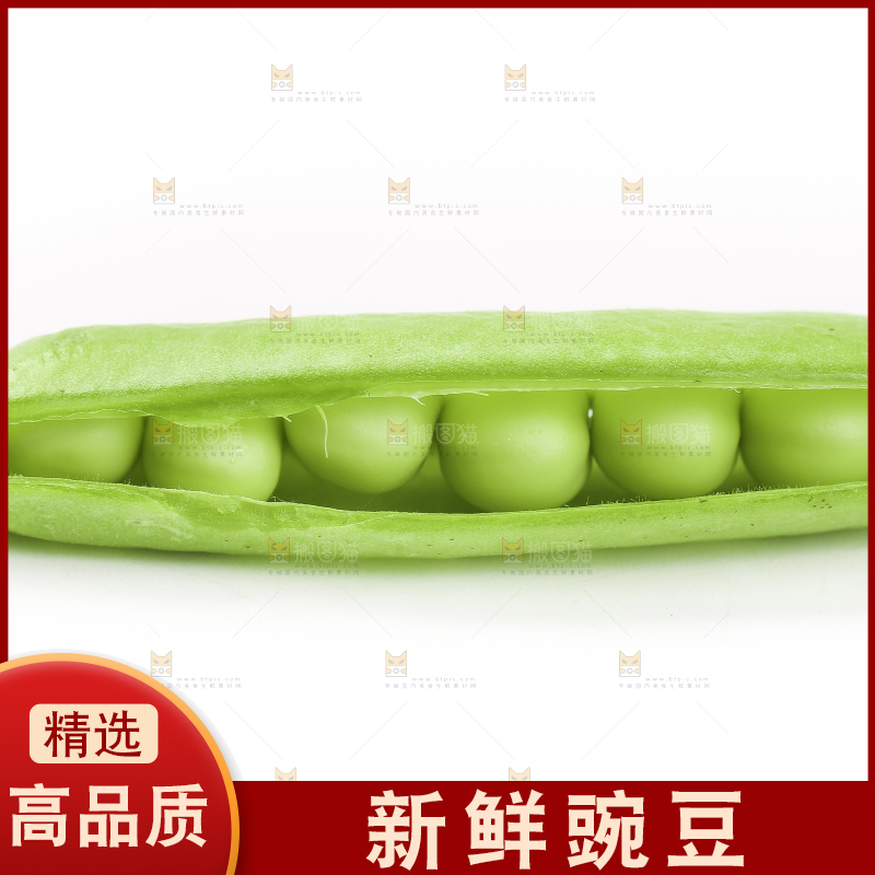 白底上的豌豆荚