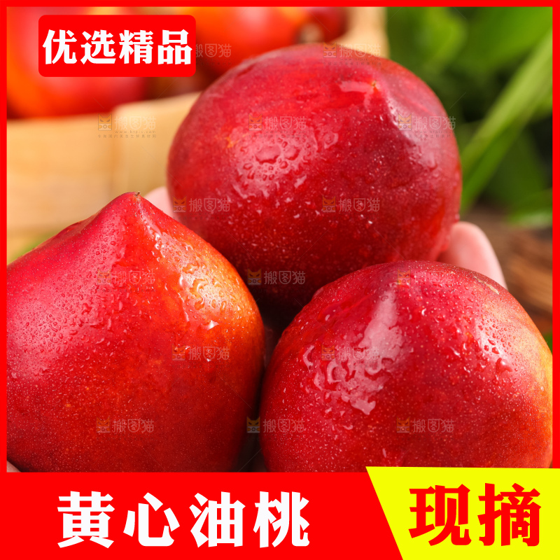手捧着山西黄心油桃