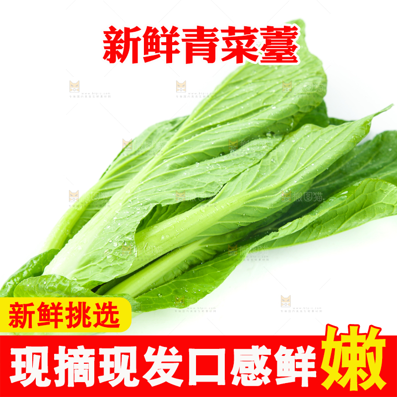 白底上放着青菜薹