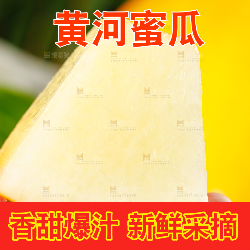 手拿黄河蜜瓜