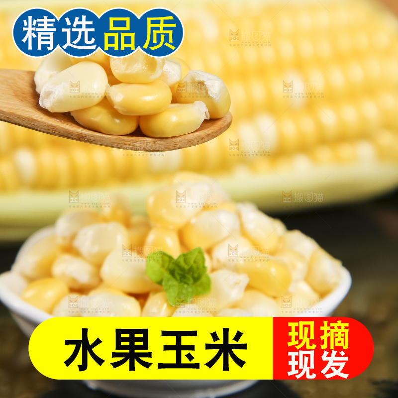 勺子里舀着甜玉米粒