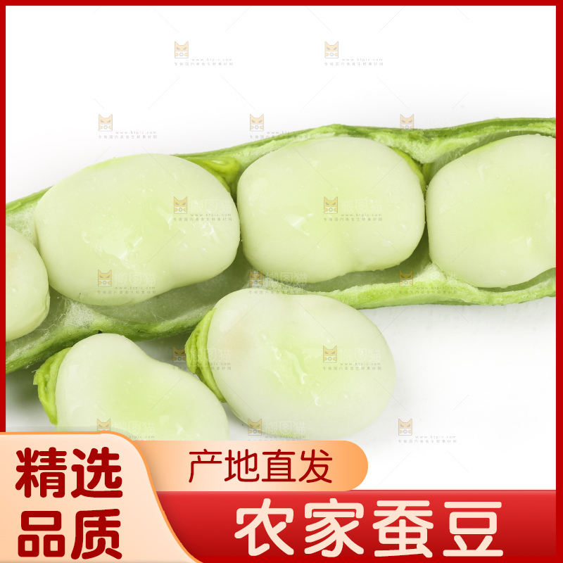 白底上放着剥壳的云南新鲜蚕豆