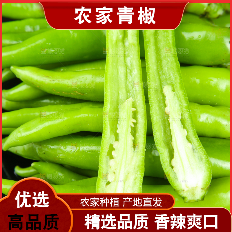 黑底上放着青尖椒