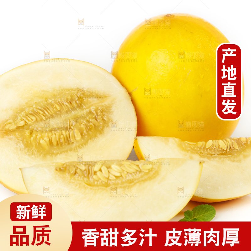 切开的黄河蜜瓜放在白底上