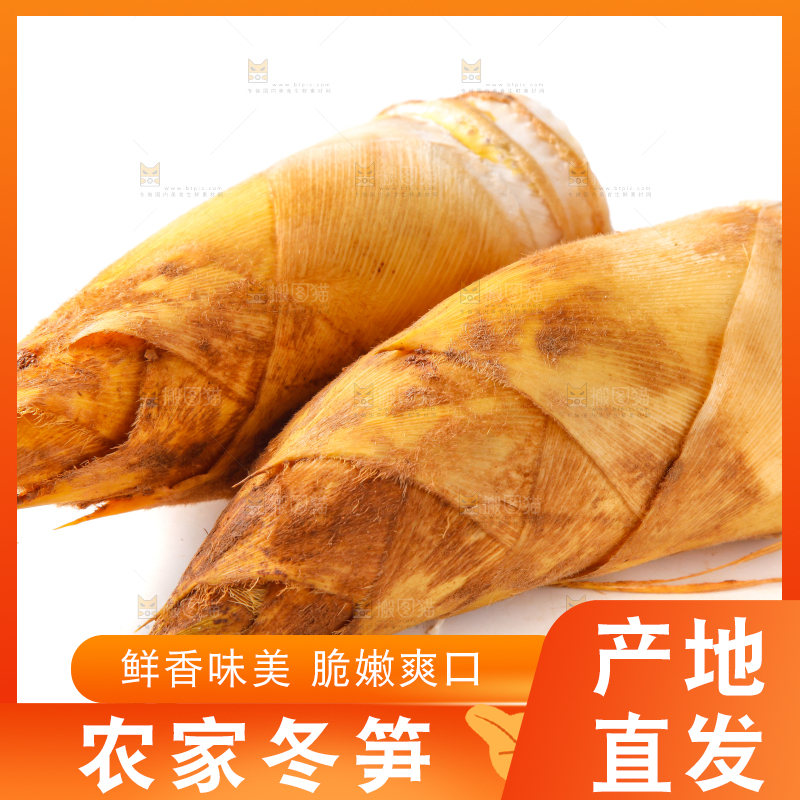 白底上摆放着冬笋