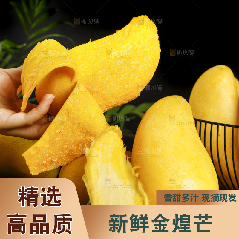 手拿剥皮的海南金煌芒
