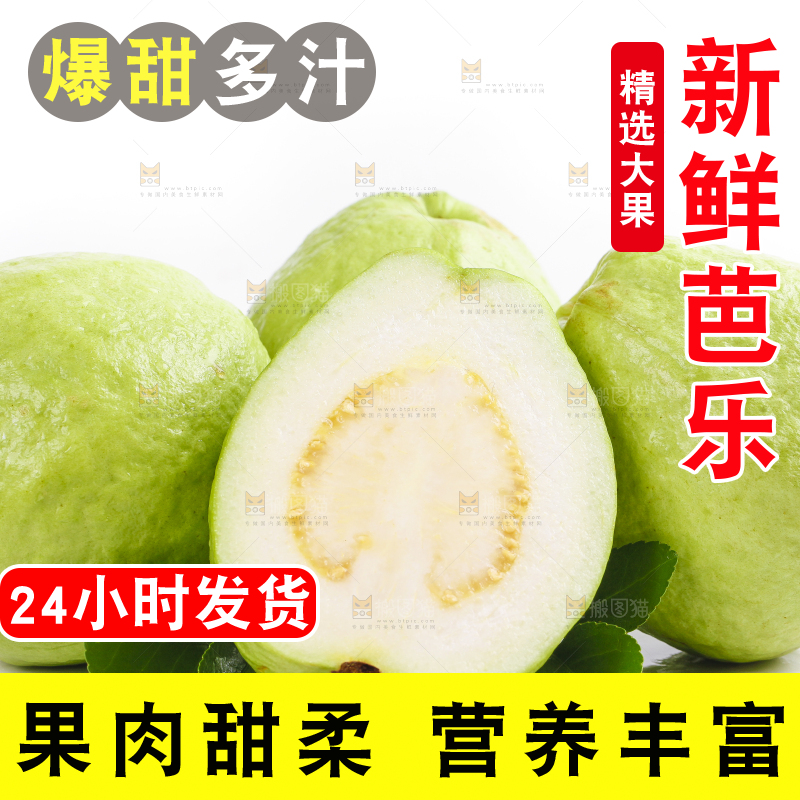 白底上的广西白心芭乐