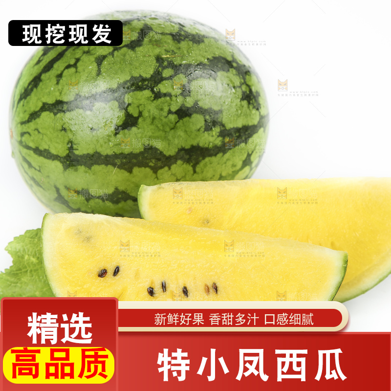白底上放着新鲜的特小凤西瓜