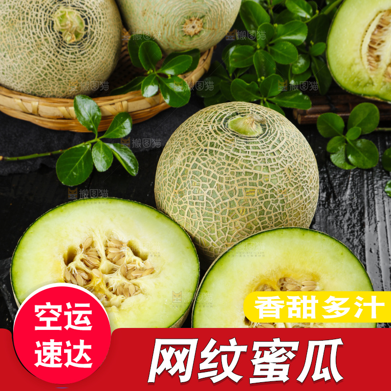 深底上放着切开的新鲜的网纹蜜瓜