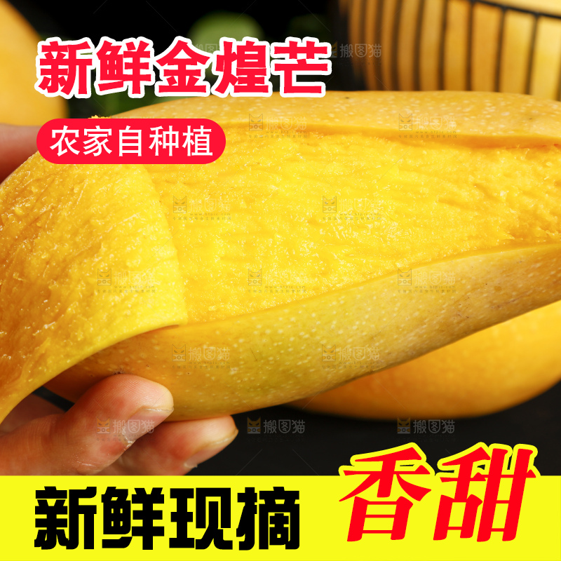 手拿剥皮的金煌芒
