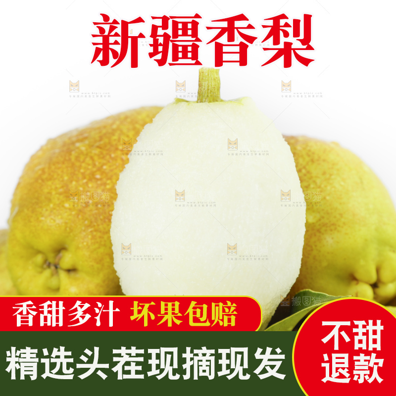 新疆库尔勒香梨放在白底上