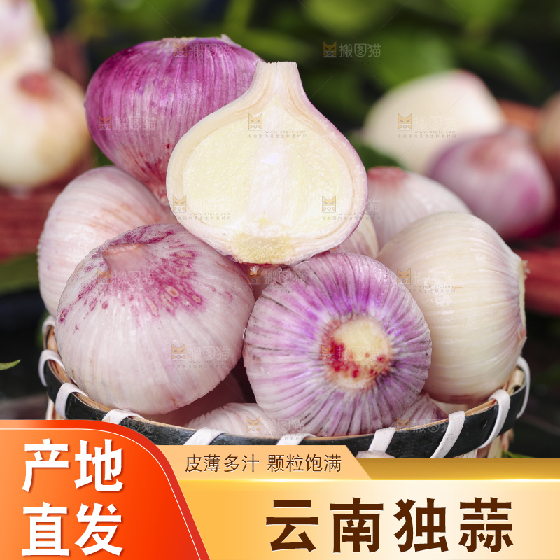 黑底上放着云南紫皮独头蒜