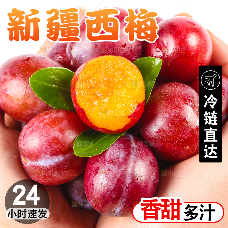 手拿着新鲜大西梅