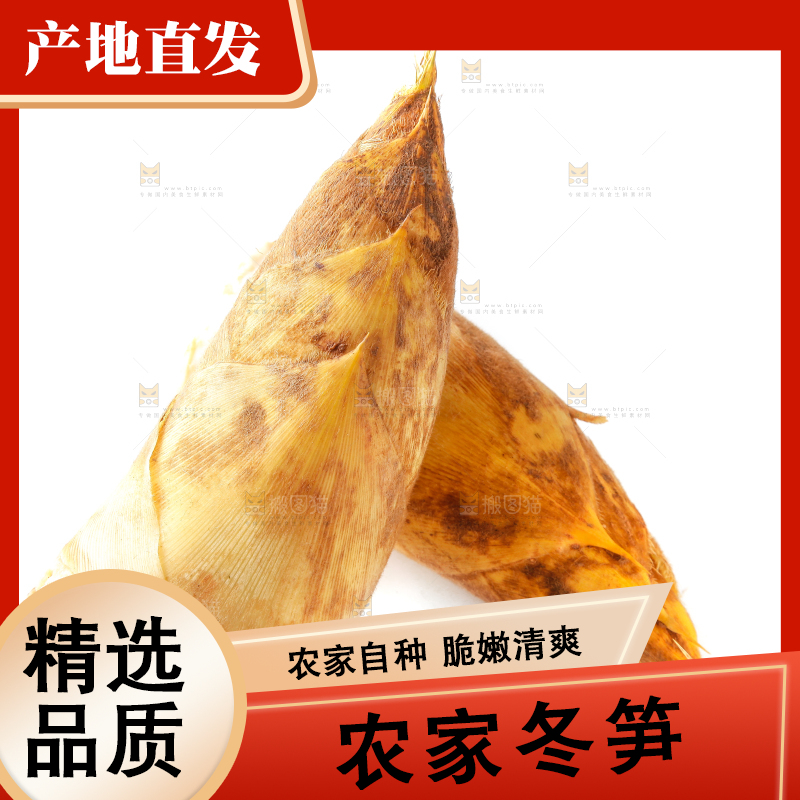 白底上摆放着冬笋