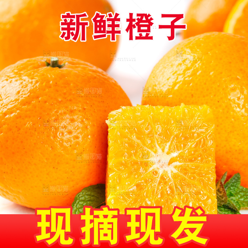 白底上放着新鲜橙子