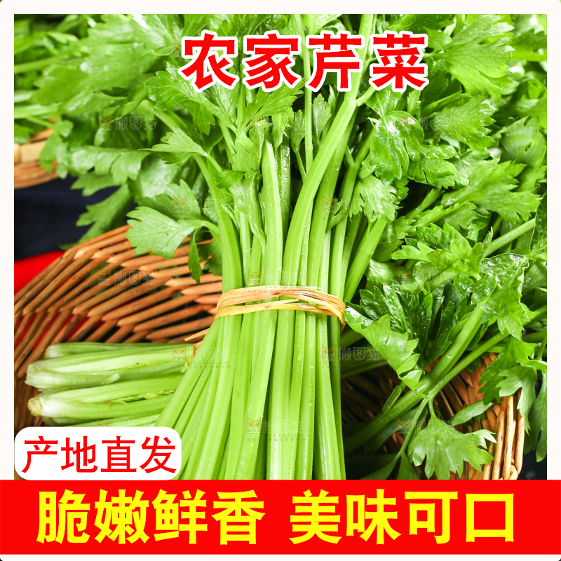 篮子里装着芹菜