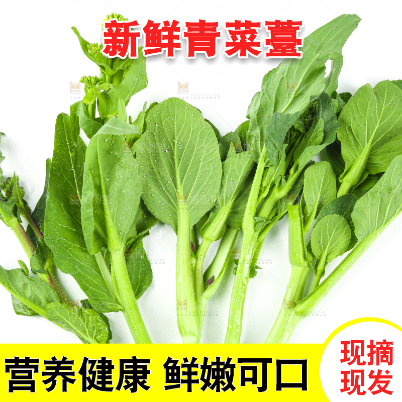 白底上放着青菜薹