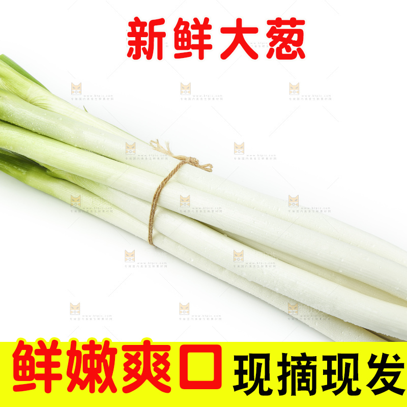 白底上的一捆大葱
