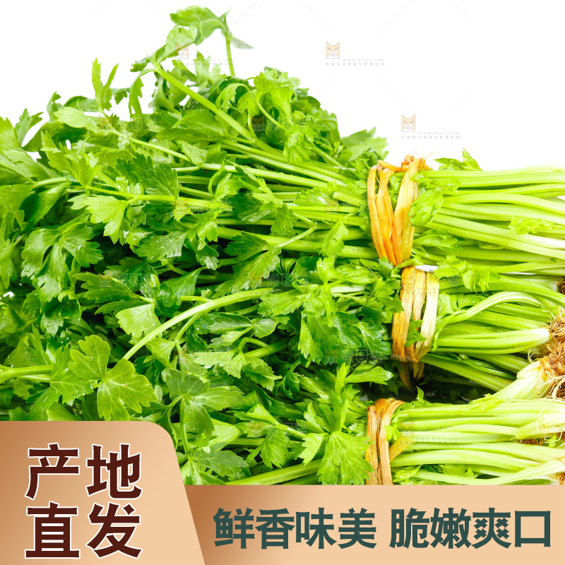 白底上放着芹菜
